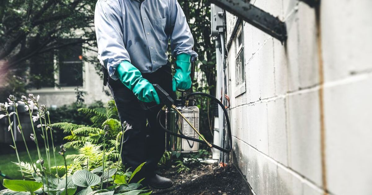 Multi Unit Building Pest Control Los Angeles: Complete Apartment Complex Solutions